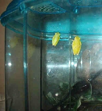 more babies