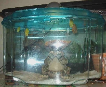 new quarentine tank