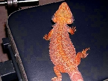 hmm