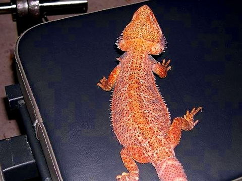 hmm