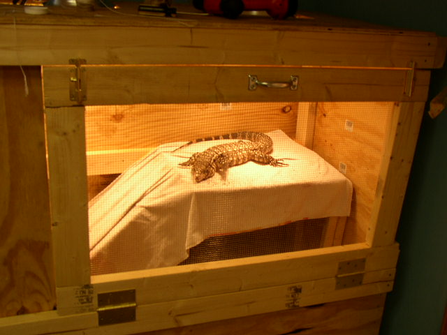 Trogdor again