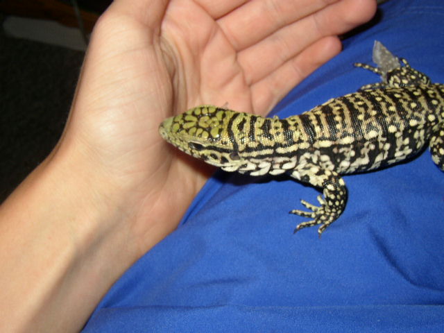 Trog as baby