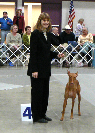 luna's group 4 in Albany