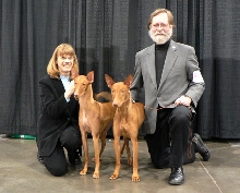 cynthia, luna, tai and bill