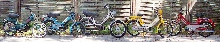 Moped Fleet.jpg