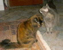 Albert and his Mom Maggie