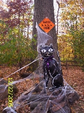 my furs and howloween 217