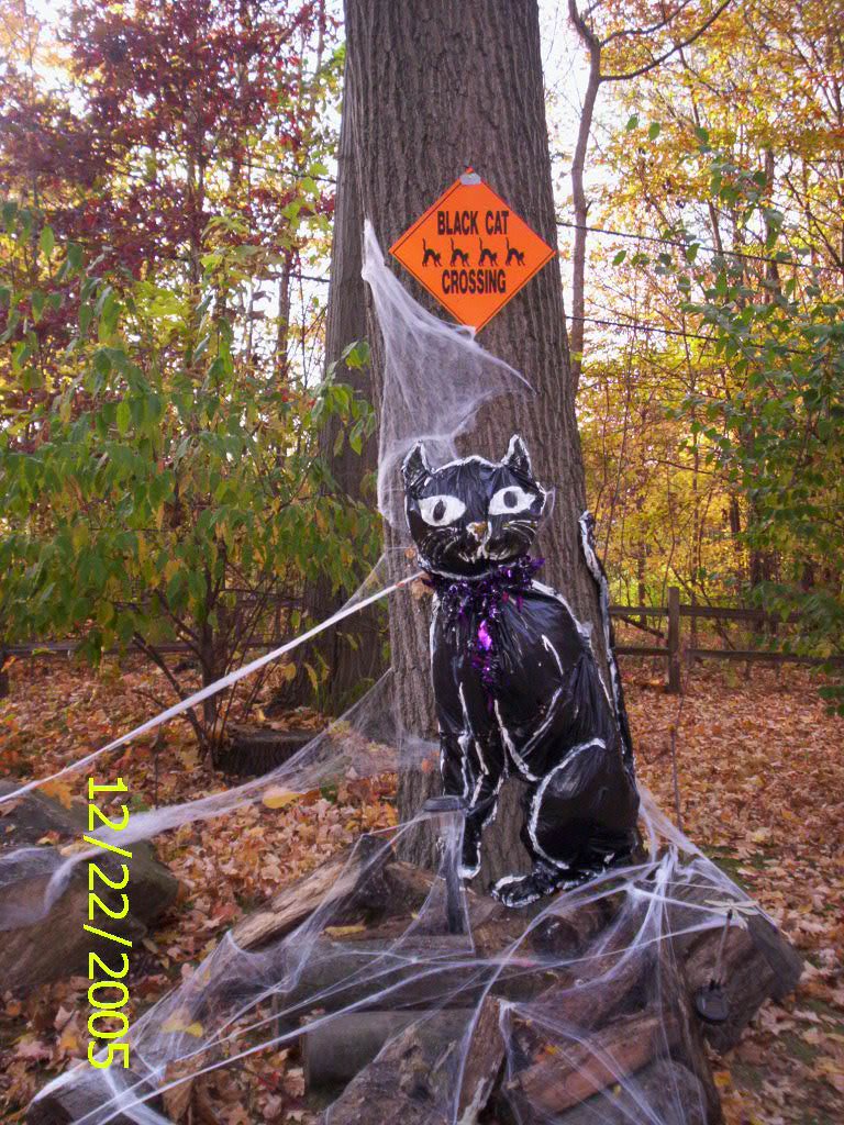 my furs and howloween 217