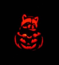 sammywhee pumpkin