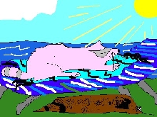 sunbafinnude