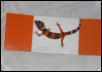 Torch Orange