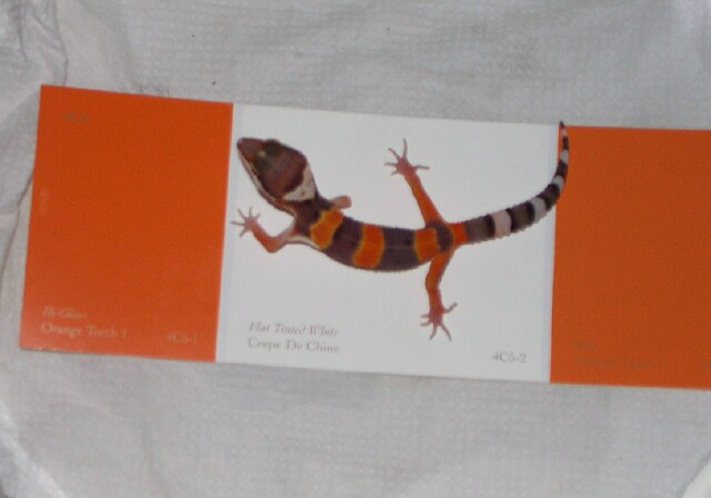 Torch Orange