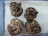 Killer Bee Clutch 3
