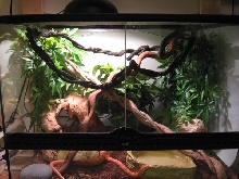 Austin's Tank