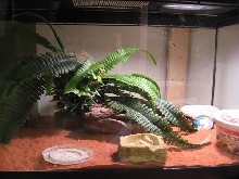 Uno's Tank