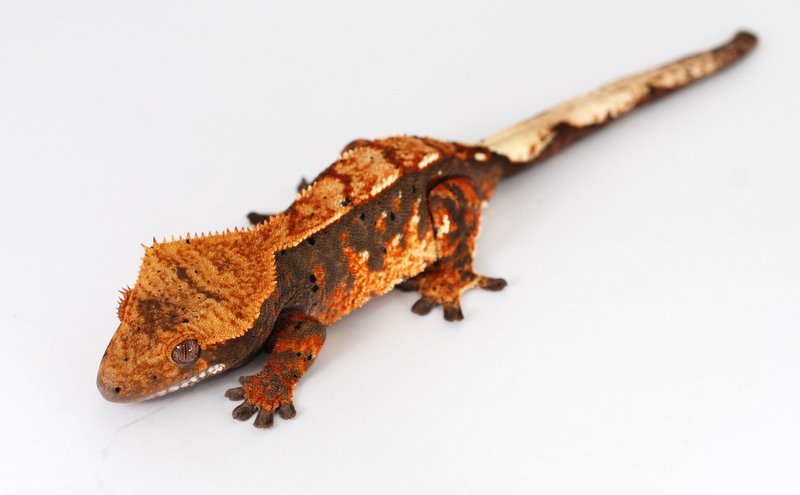 Un-named