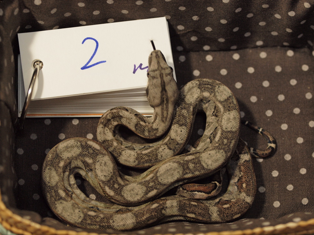 male2