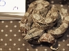 male6