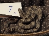 male7