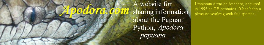 Title of website apodora.com