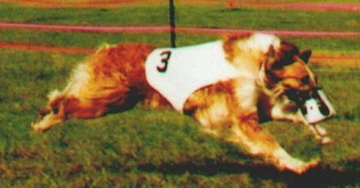 Racing Canth