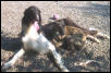 Jezzie N Obie