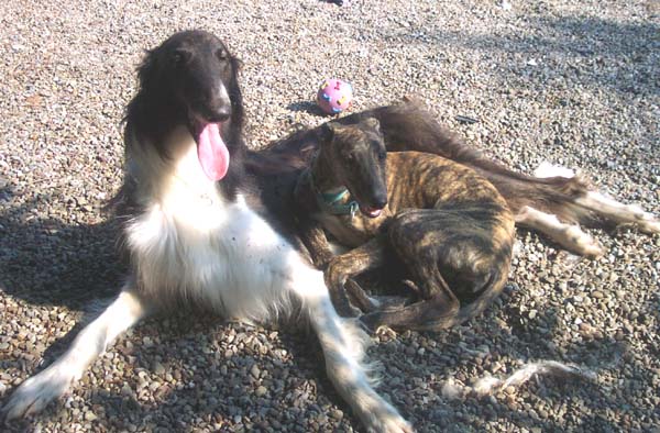 Jezzie N Obie