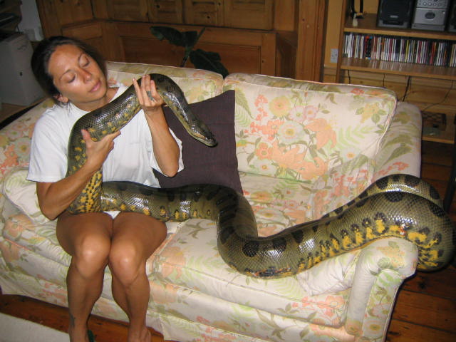 girlfriend and male anaconda