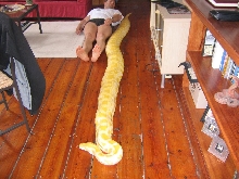 getting bigger