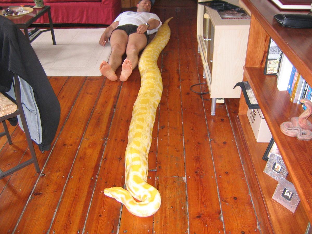 getting bigger