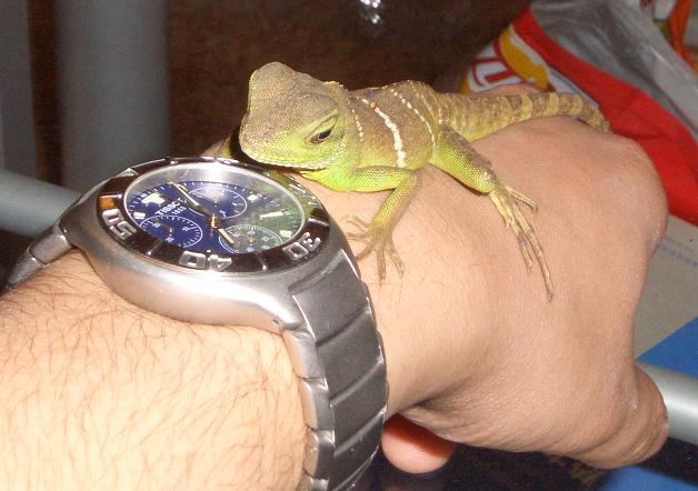 Drake clinging on to my hand
