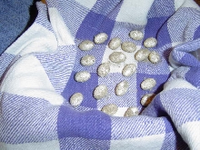 eggs1