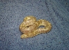 08hypo