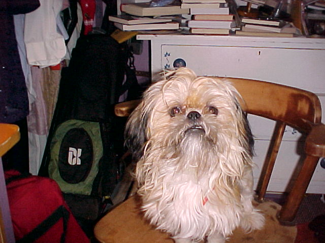 LOOK @ THIS FACE