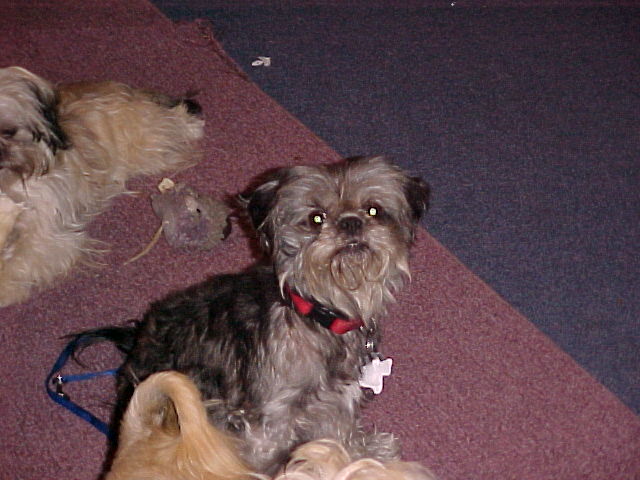 My babies momma