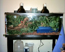 Londo's home