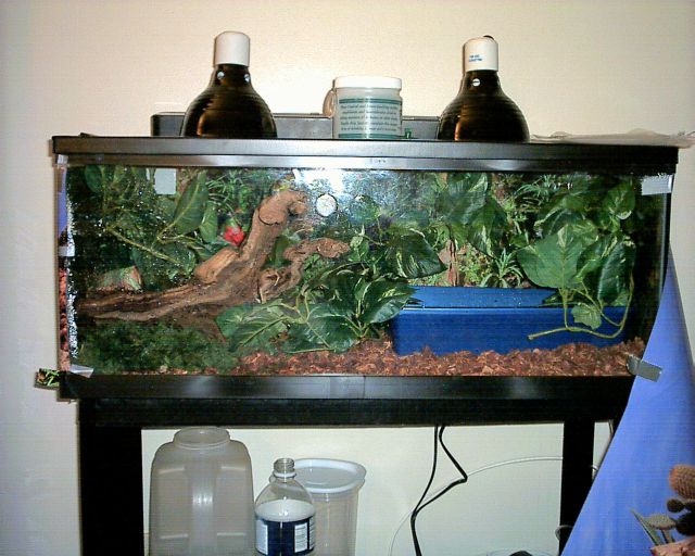Londo's home