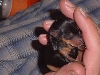 Our  New Baby