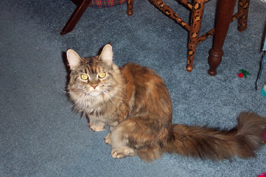 Jilly
