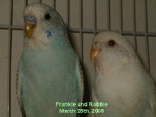 Frankie and Robbie