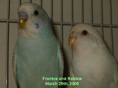 Frankie and Robbie