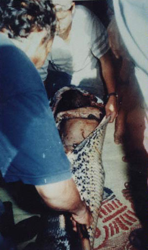 Maneater?(!!)