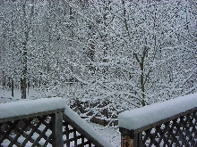 Snow and where Yeti lives....really