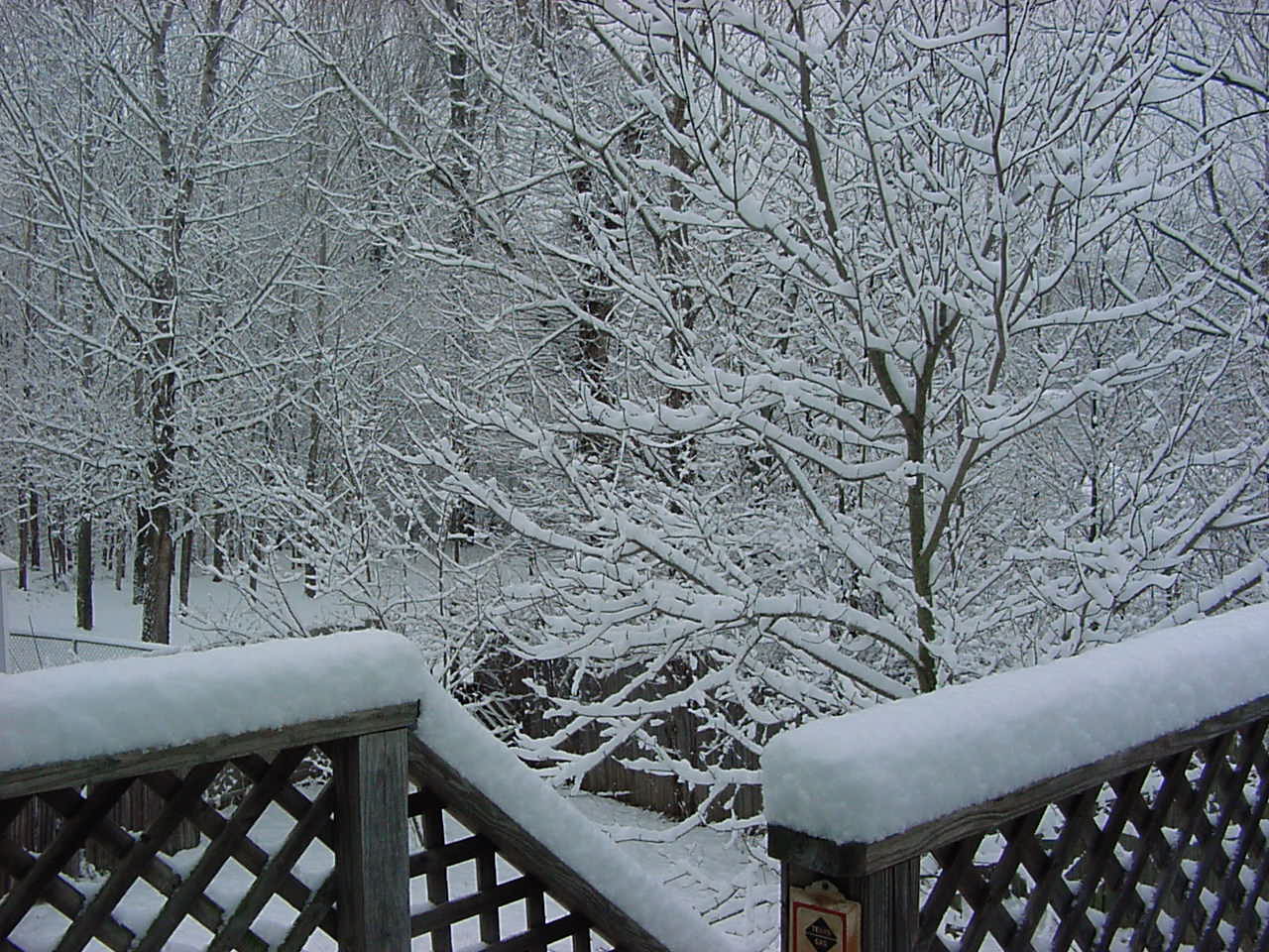 Snow and where Yeti lives....really
