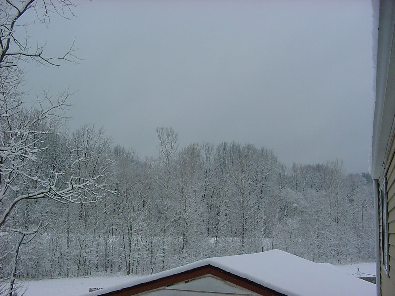 snow