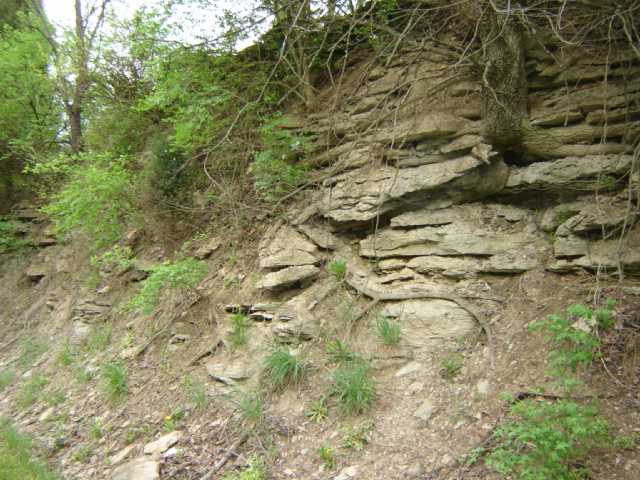 rock cuts