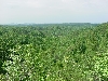 hills