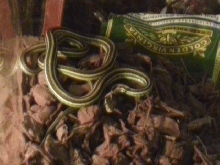 What type of ribbon is this?