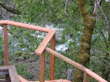Cat enclosure Under Construction 3