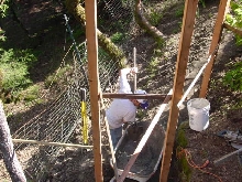 Cat enclosure Under Construction 2